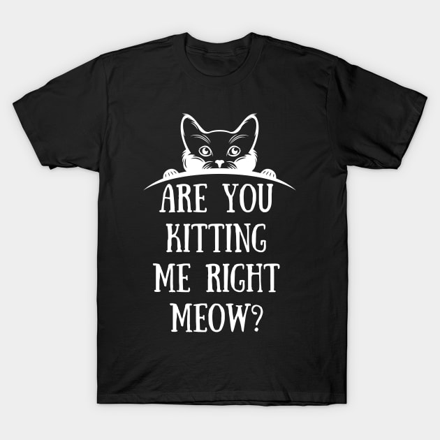 are You Kitten Me Right Meow T-Shirt by FalconPod